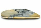 Polished Maligano Jasper Plate - Indonesia #323251-1